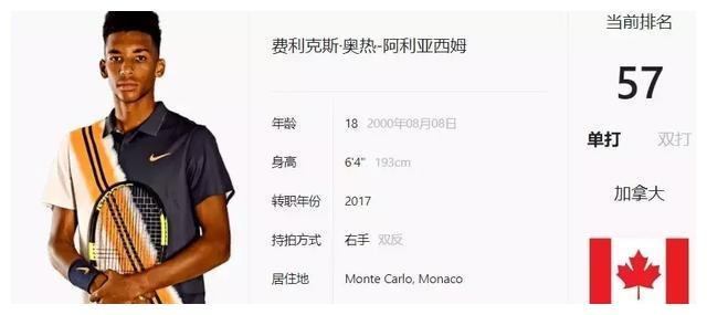 不容忽视的 不容忽视的