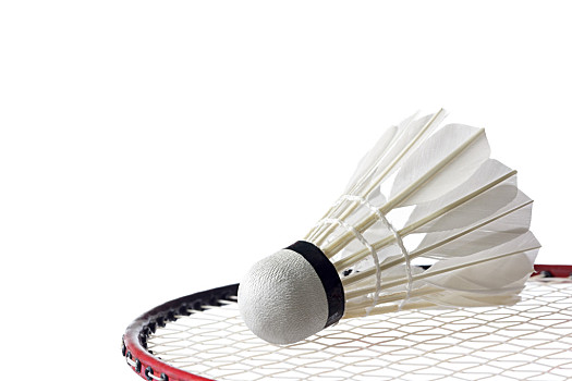 的竞争不仅 的竞争不仅